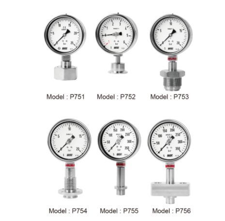 Pressure gauge p751, p752, p753, p754, p755, p756 wise vietnam
